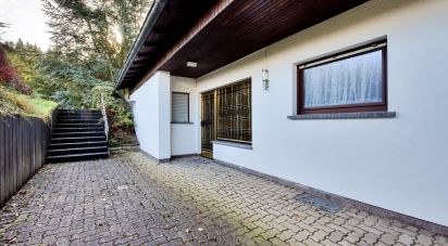 11 rooms House Hellenthal (53940)